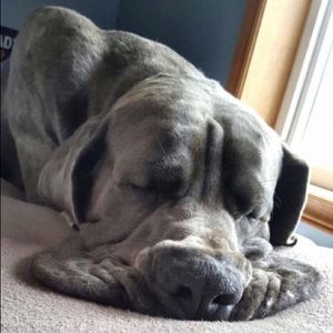 Meet your Posher, Jarred